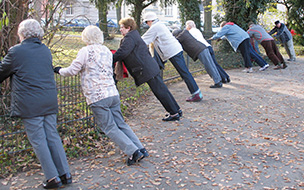 Eine Gruppe Seniorinnen und Senioren beim Dehnen im Park