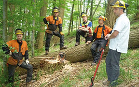 Eine Gruppe Forstarbeiter neben einem gefällten Baum im Wald